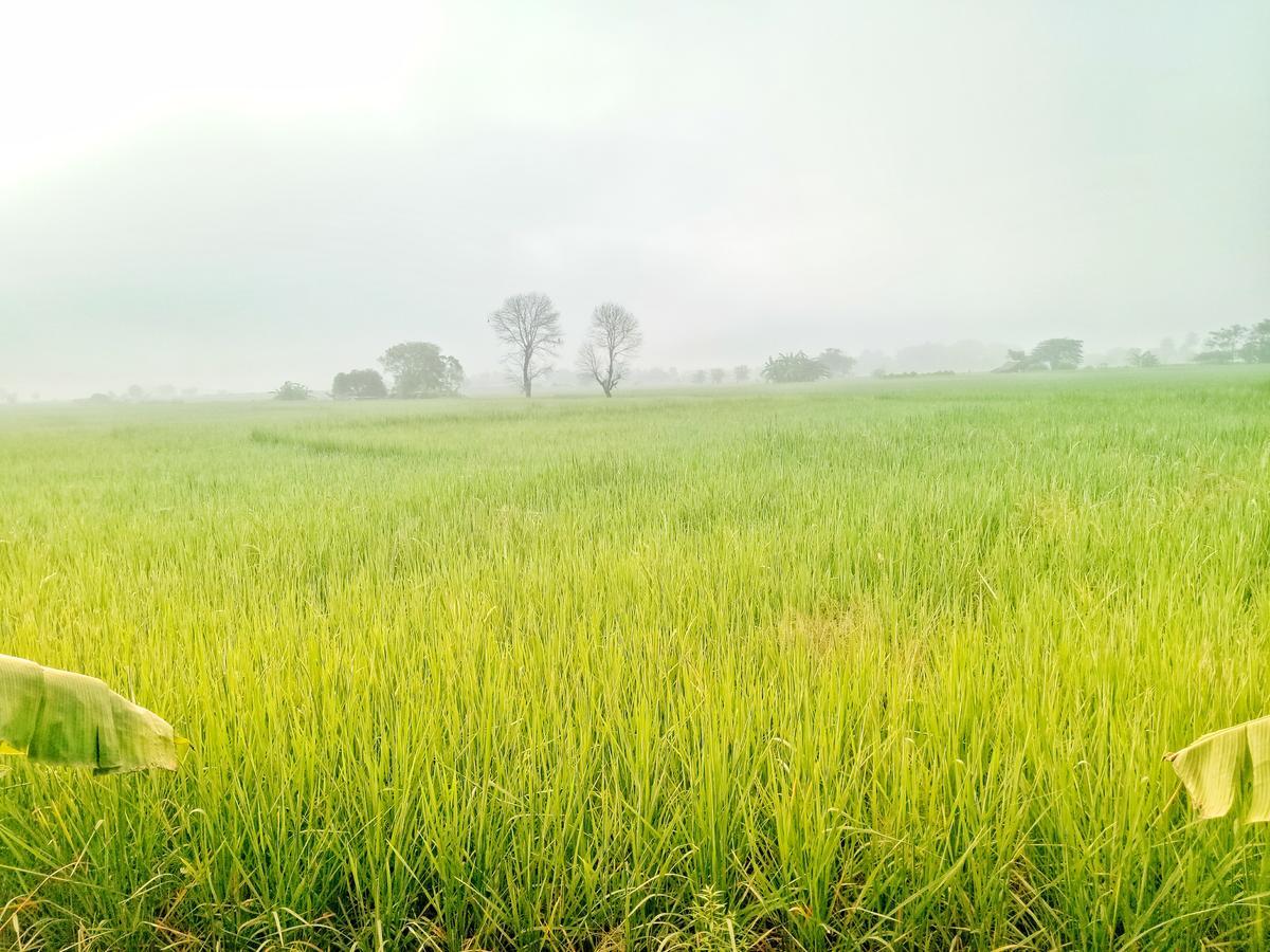 Jaisabai Homestay แม่อาย ภายนอก รูปภาพ